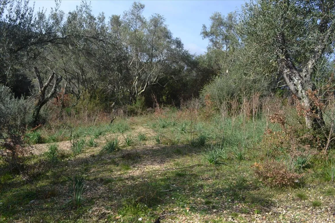 οικόπεδο προς πώληση 4930 τ.μ Κέρκυρα Νομός Κέρκυρας
