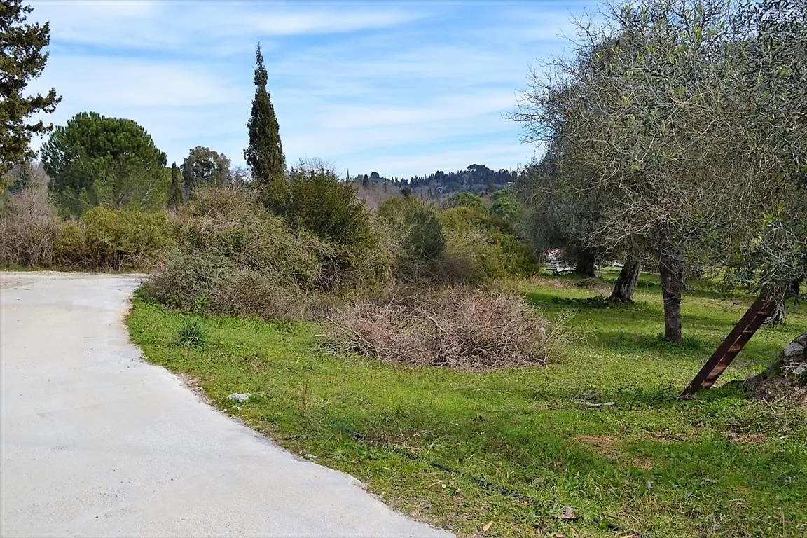 οικόπεδο προς πώληση 5304 τ.μ Κέρκυρα Νομός Κέρκυρας
