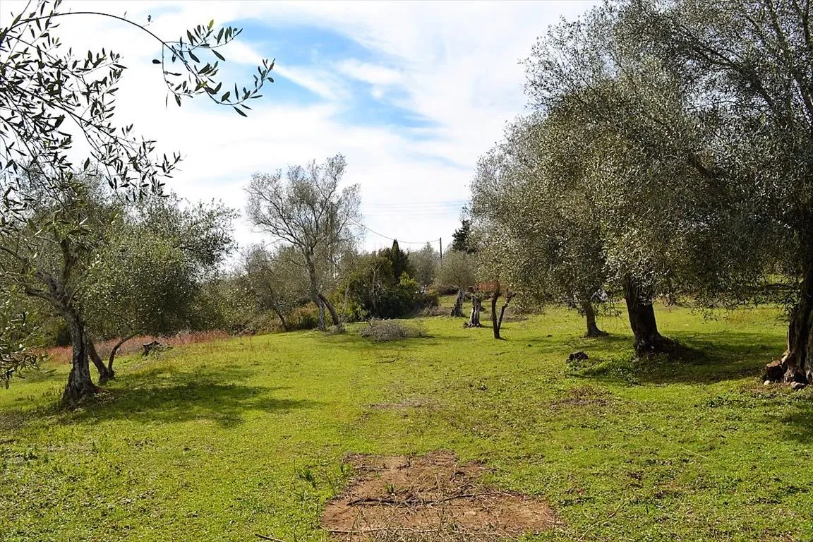 1152