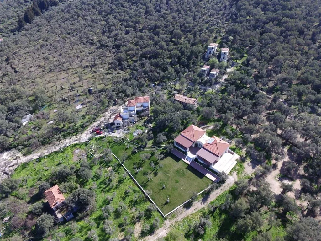 επιχείρηση προς πώληση 1170 τ.μ Λέσβος - Γέρας Νομός Λέσβου