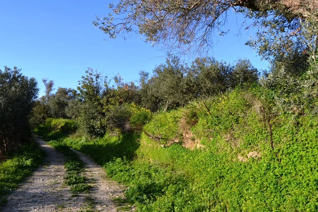 οικόπεδο προς πώληση 5500 τ.μ Αρκάδι Νομός Ρεθύμνου