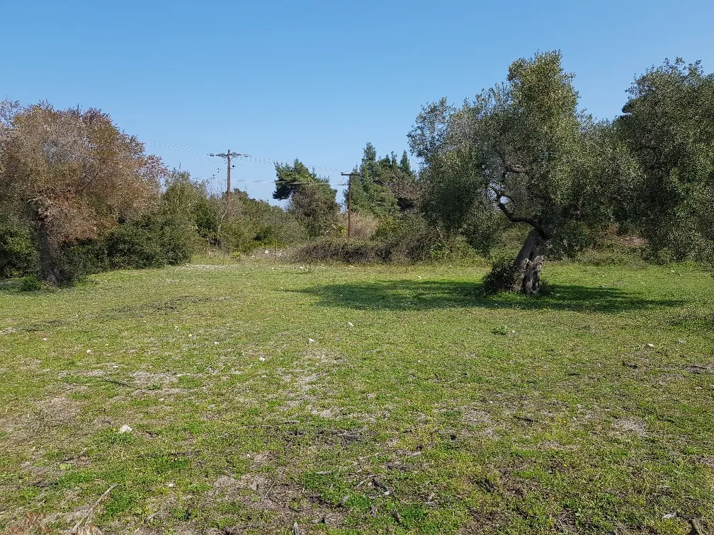 οικόπεδο προς πώληση 4300 τ.μ Κασσάνδρα Χαλκιδική