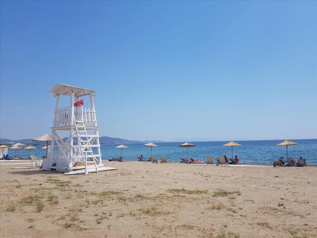 οικόπεδο προς πώληση 8687 τ.μ Πολύγυρος Χαλκιδική
