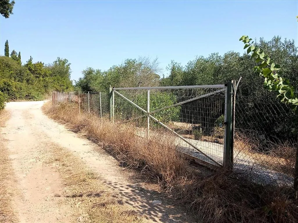 οικόπεδο προς πώληση 4600 τ.μ Κέρκυρα Νομός Κέρκυρας