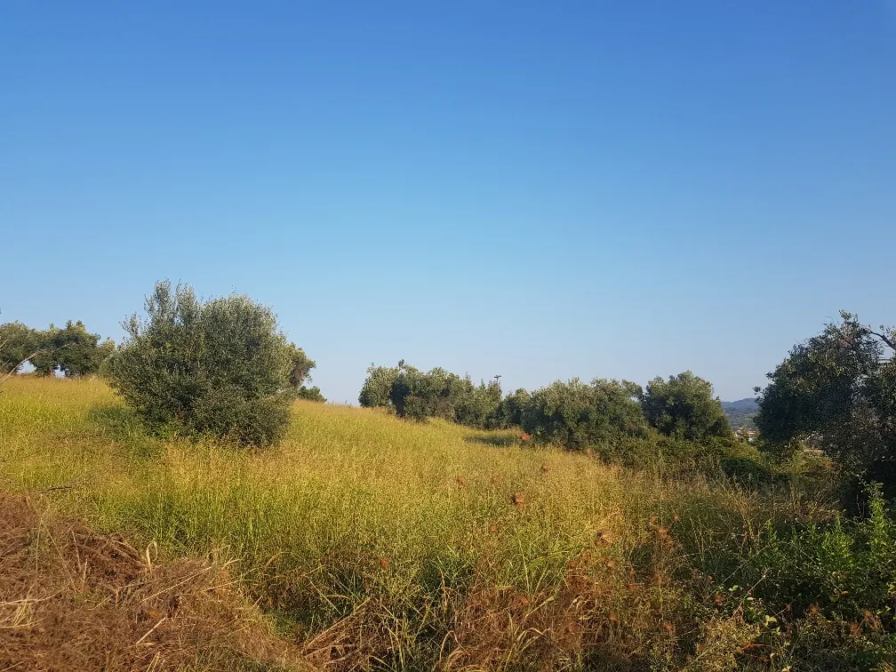 οικόπεδο προς πώληση 11500 τ.μ Κασσάνδρα Χαλκιδική