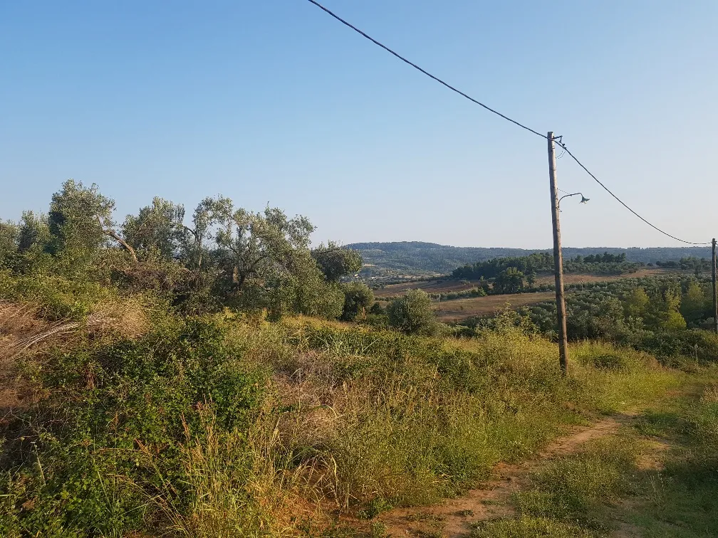 οικόπεδο προς πώληση 11500 τ.μ Κασσάνδρα Χαλκιδική