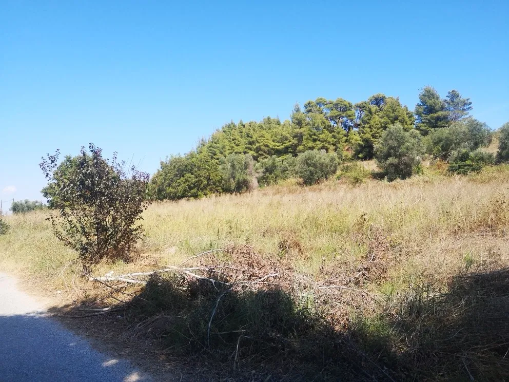 οικόπεδο προς πώληση 3700 τ.μ Κασσάνδρα Χαλκιδική