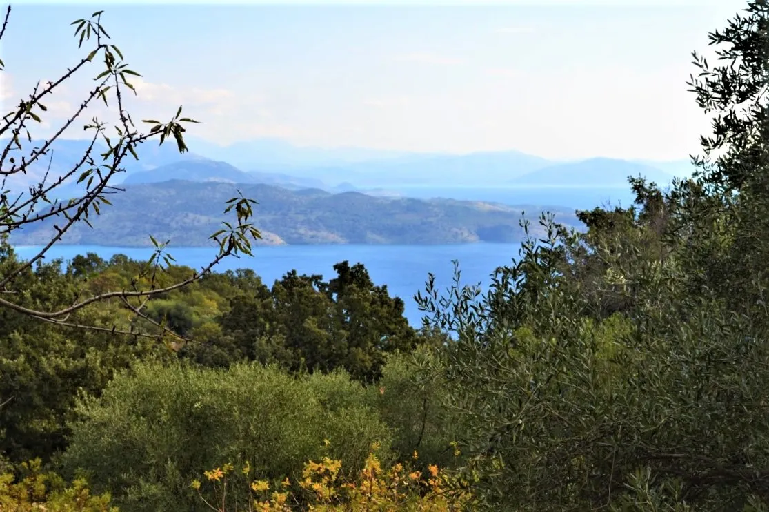 οικόπεδο προς πώληση 750 τ.μ Κέρκυρα Νομός Κέρκυρας