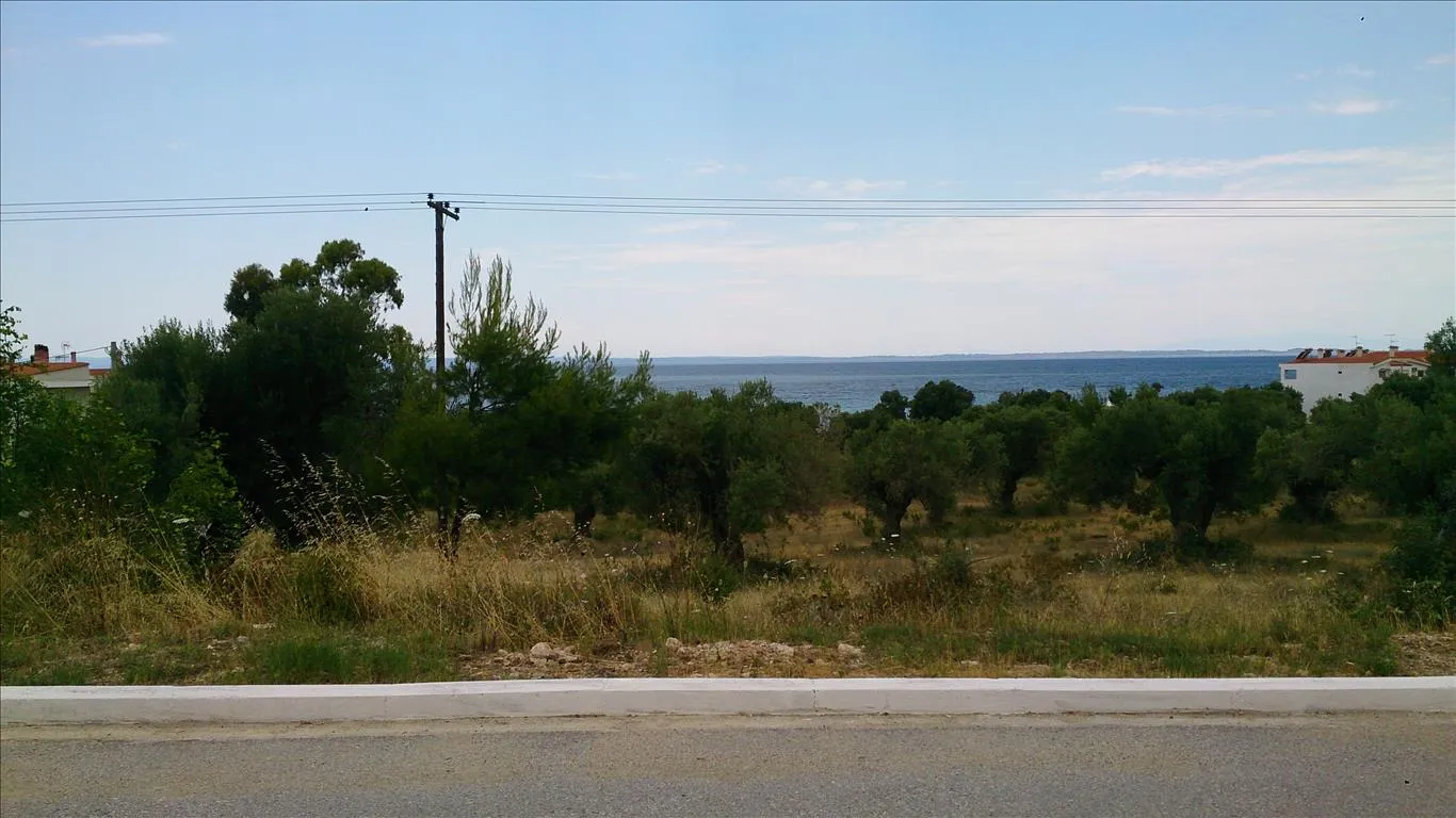 οικόπεδο προς πώληση 5658 τ.μ Πολύγυρος Χαλκιδική