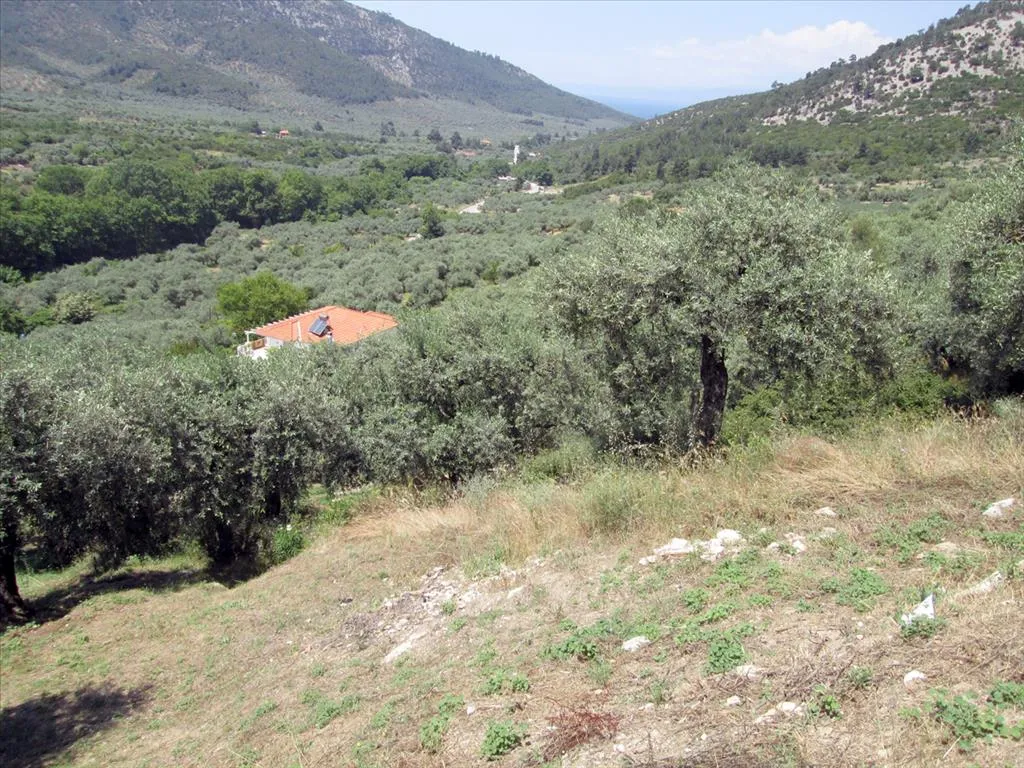 οικόπεδο προς πώληση 2500 τ.μ Θάσος Νομός Καβάλας