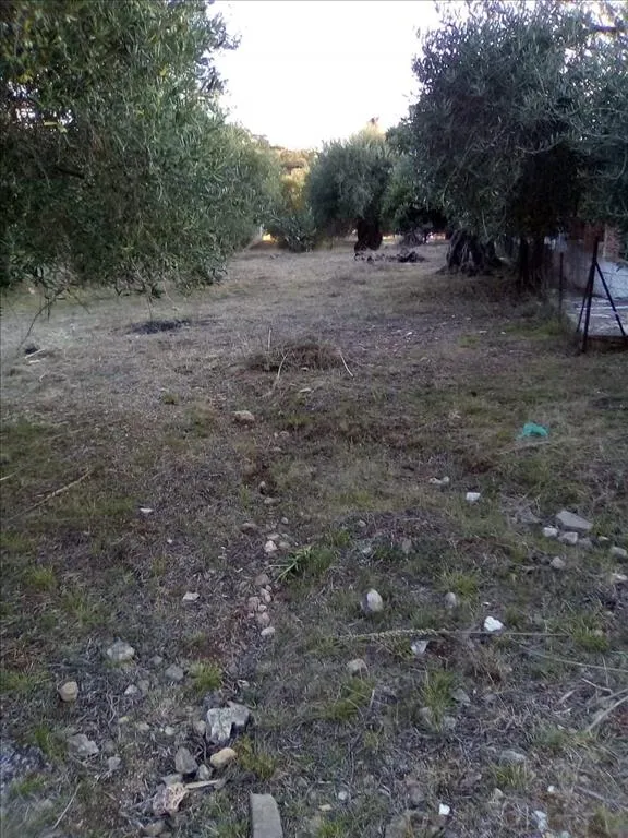 576