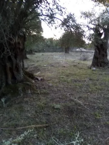 360