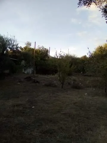 360