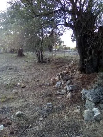 360