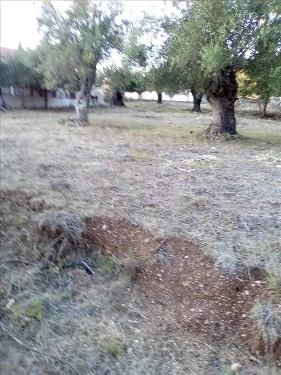 576