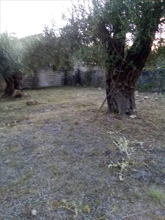 576