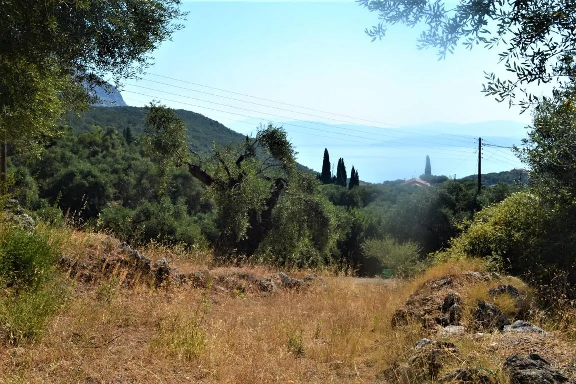 οικόπεδο προς πώληση 5000 τ.μ Κέρκυρα Νομός Κέρκυρας