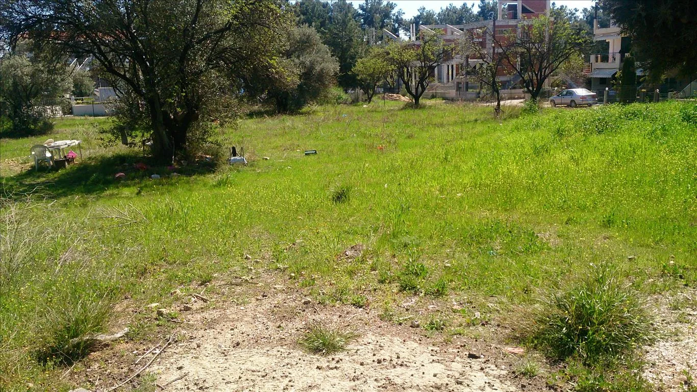 οικόπεδο προς πώληση 835 τ.μ Πολύγυρος Χαλκιδική