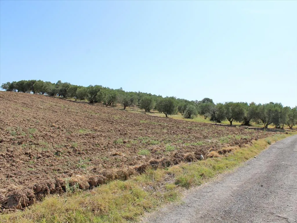 οικόπεδο προς πώληση 4000 τ.μ Κολινδρός Νομός Πιερίας