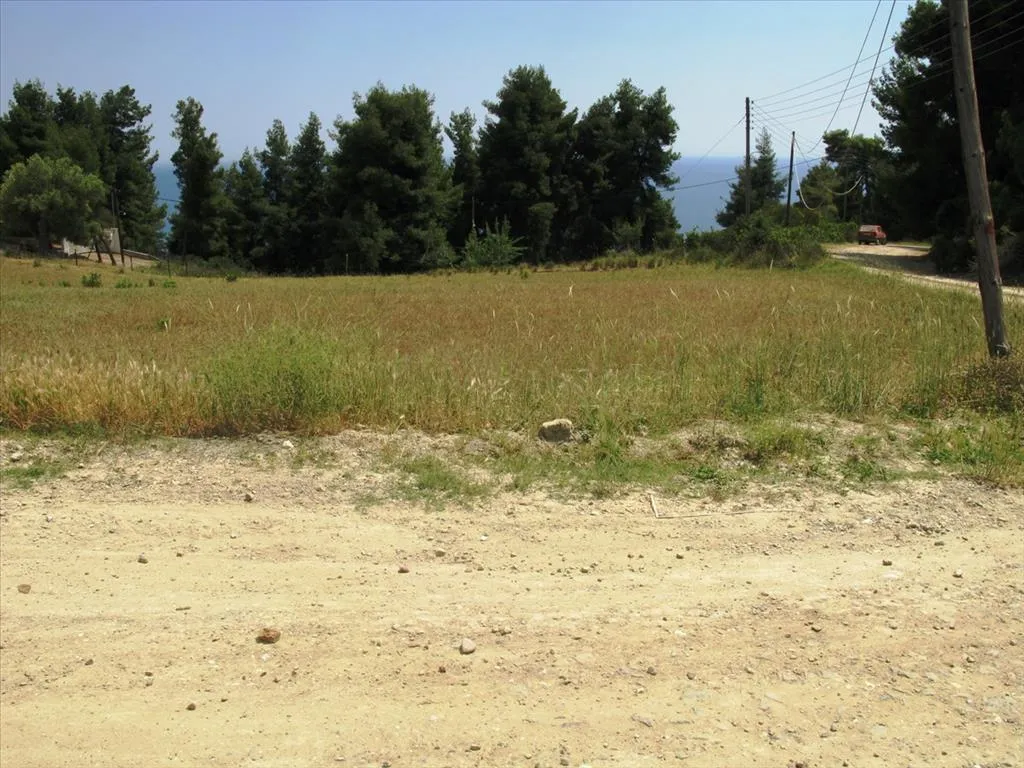 οικόπεδο προς πώληση 4385 τ.μ Κασσάνδρα Χαλκιδική