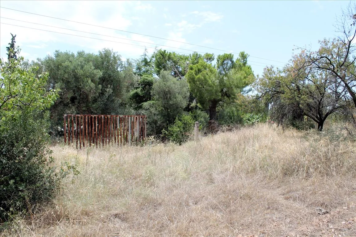 οικόπεδο προς πώληση 12081 τ.μ Πολύγυρος Χαλκιδική