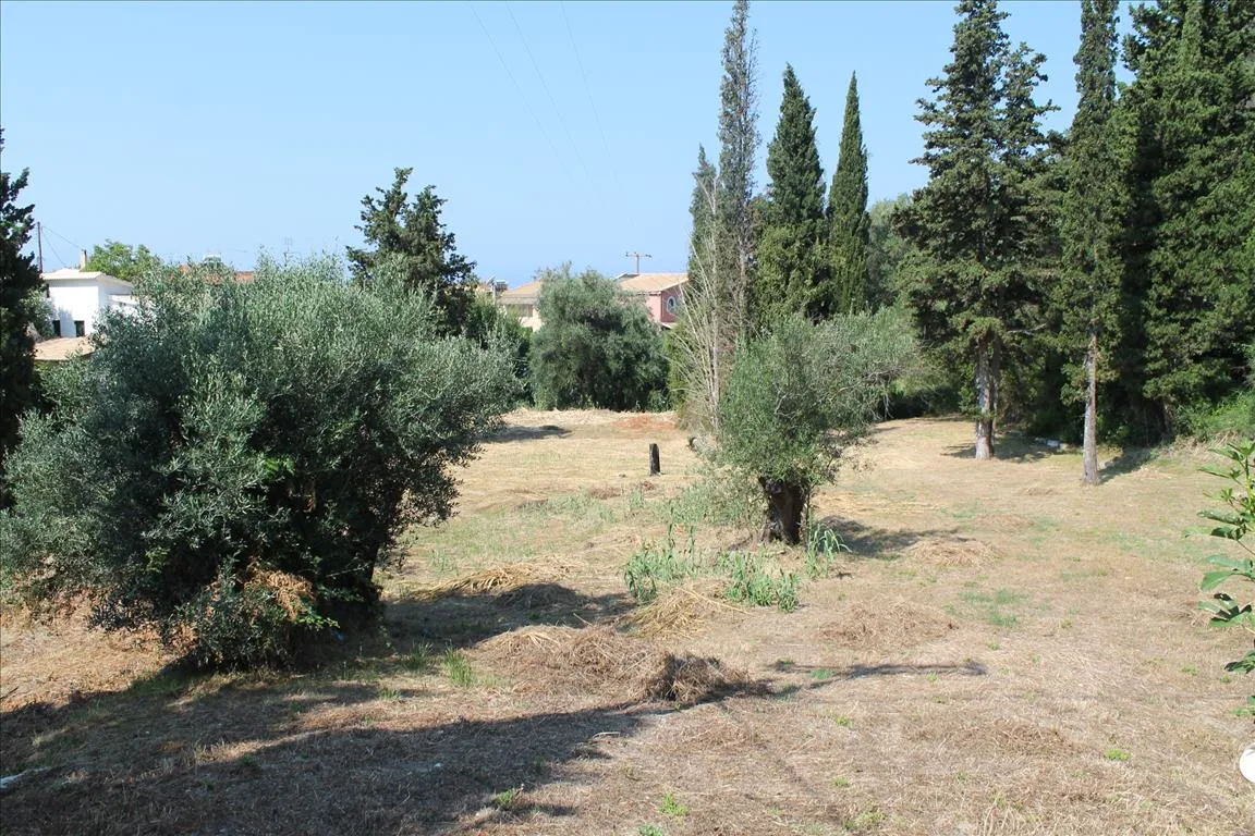οικόπεδο προς πώληση 2500 τ.μ Κέρκυρα Νομός Κέρκυρας