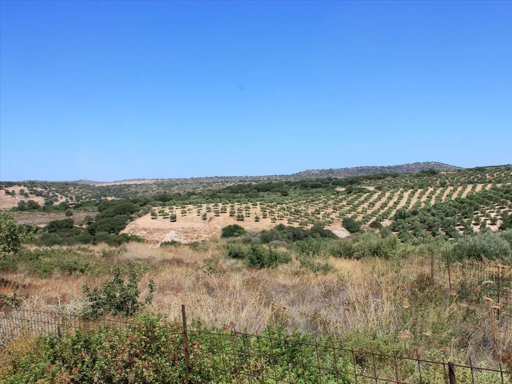 οικόπεδο προς πώληση 6800 τ.μ Αρκάδι Νομός Ρεθύμνου
