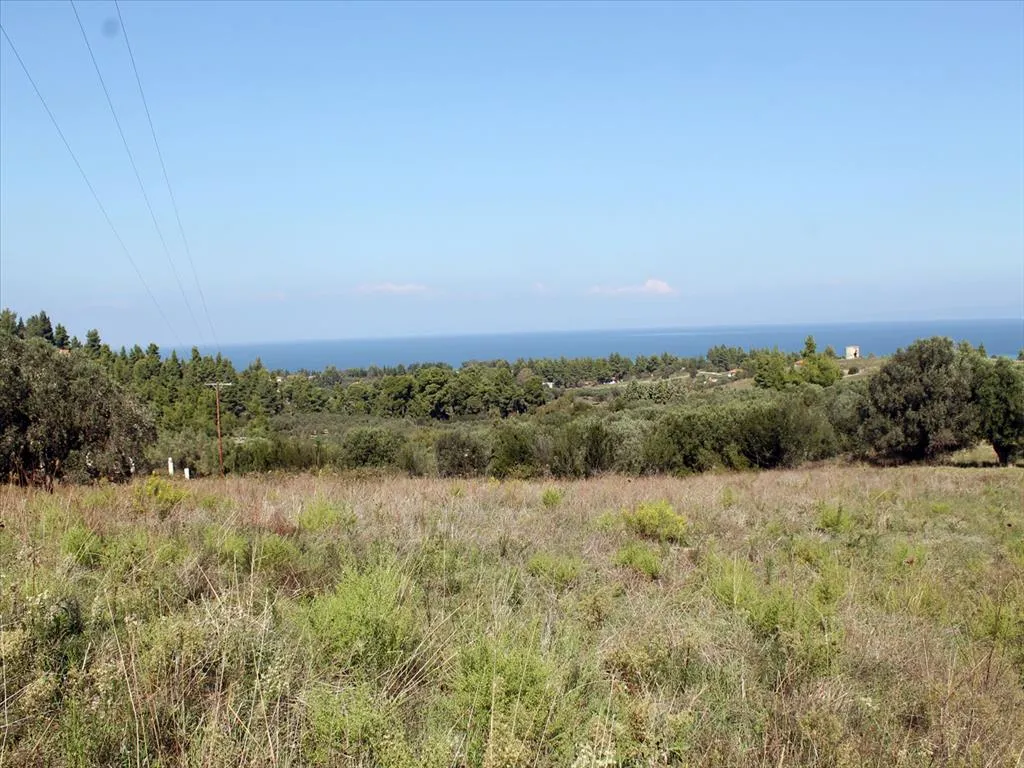 οικόπεδο προς πώληση 22500 τ.μ Κασσάνδρα Χαλκιδική
