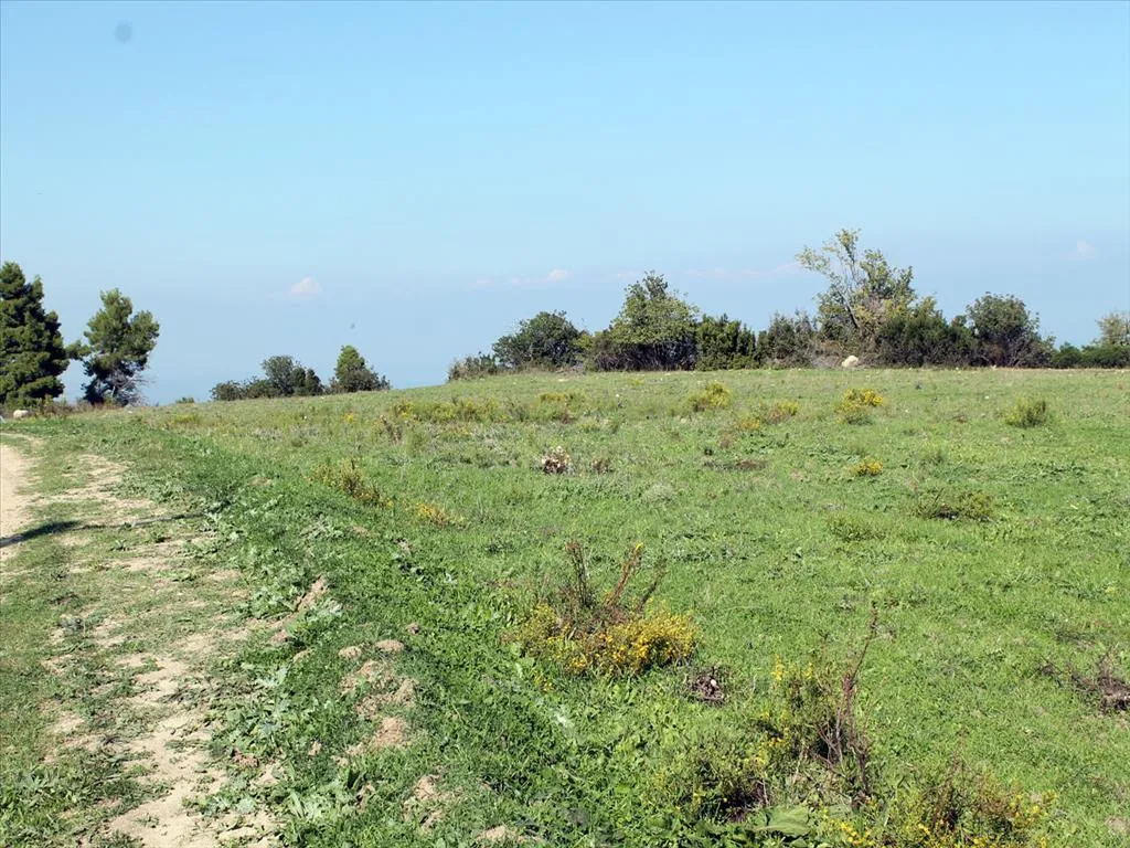 οικόπεδο προς πώληση 7000 τ.μ Κασσάνδρα Χαλκιδική