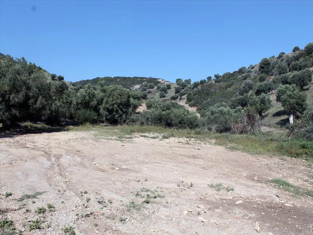 οικόπεδο προς πώληση 3000 τ.μ Κασσάνδρα Χαλκιδική