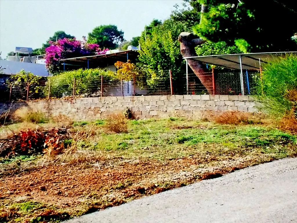 οικόπεδο προς πώληση 230 τ.μ Αρτέμιδα (Λούτσα) Ανατολικά Αθήνας