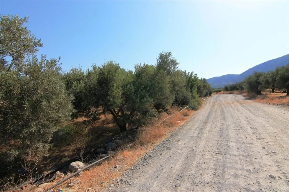 οικόπεδο προς πώληση 5000 τ.μ Νεάπολη Νομός Λασιθίου