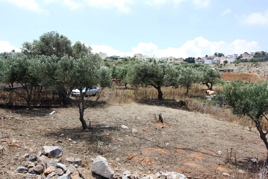 οικόπεδο προς πώληση 4500 τ.μ Βάμος Νομός Χανίων