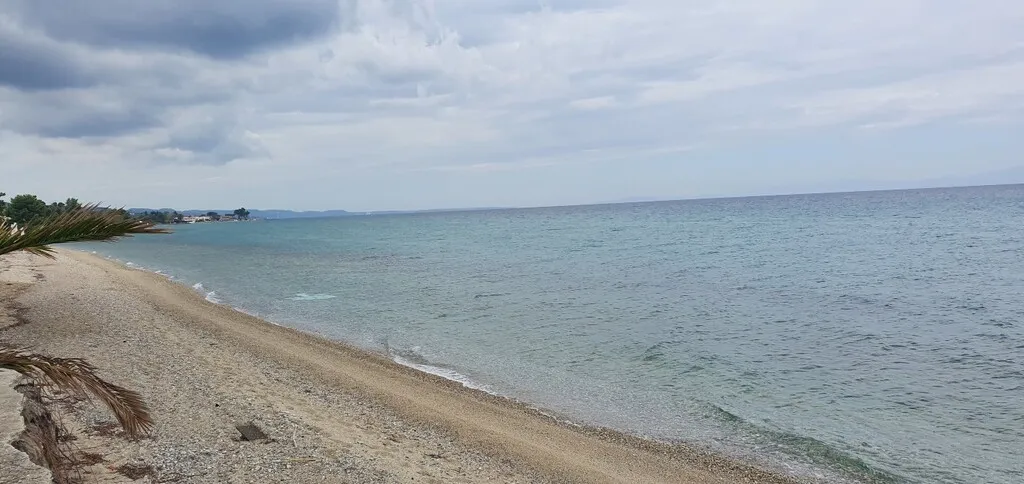 οικόπεδο προς πώληση 12000 τ.μ Κασσάνδρα Χαλκιδική