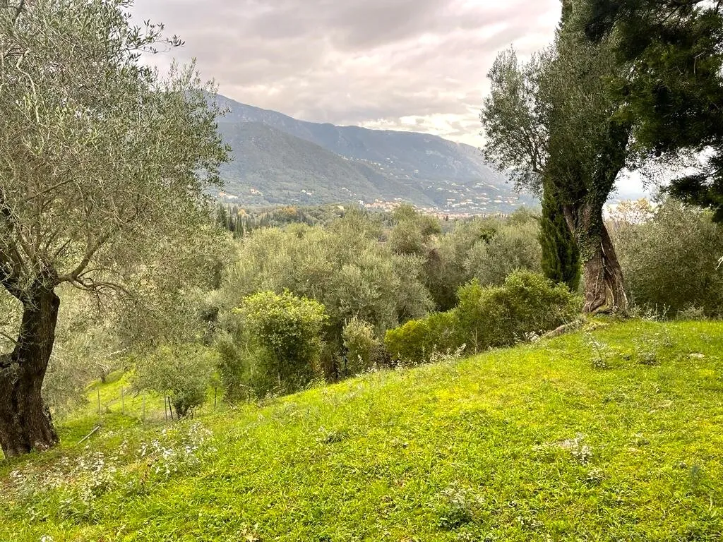 οικόπεδο προς πώληση 2463 τ.μ Κέρκυρα Νομός Κέρκυρας