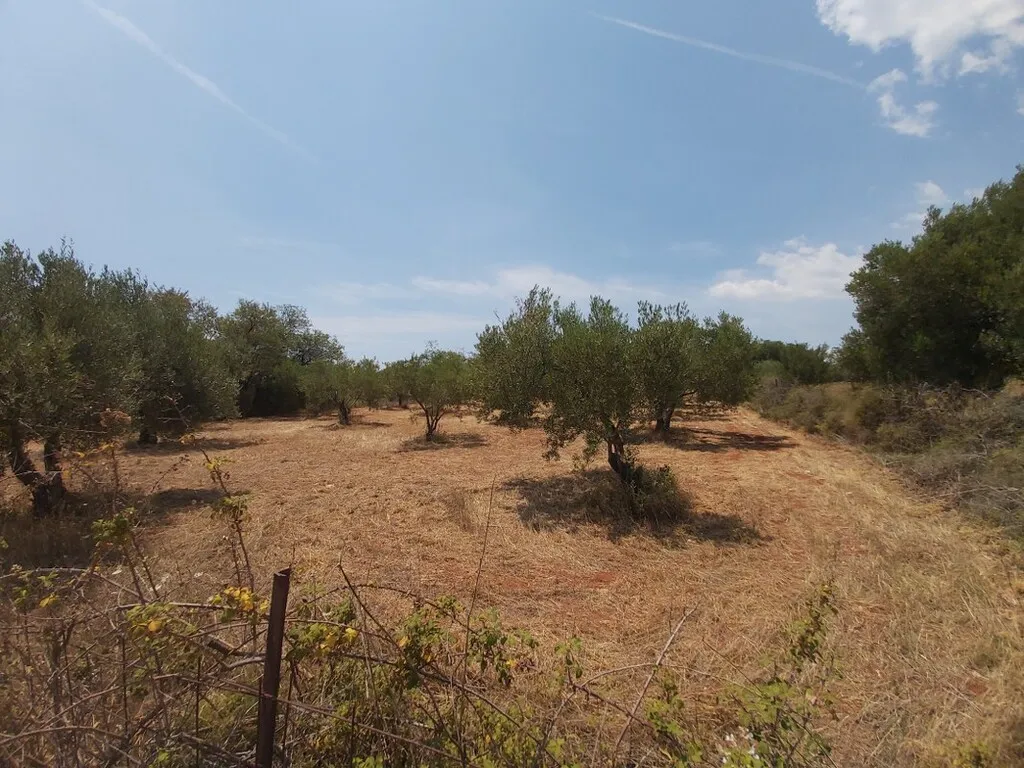 οικόπεδο προς πώληση 8300 τ.μ Σιθωνία Χαλκιδική