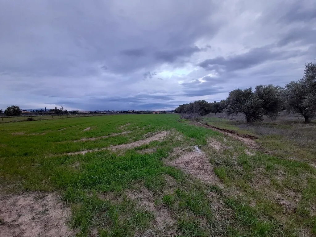 οικόπεδο προς πώληση 4312 τ.μ Επανωμή Προάστια Θεσσαλονίκης