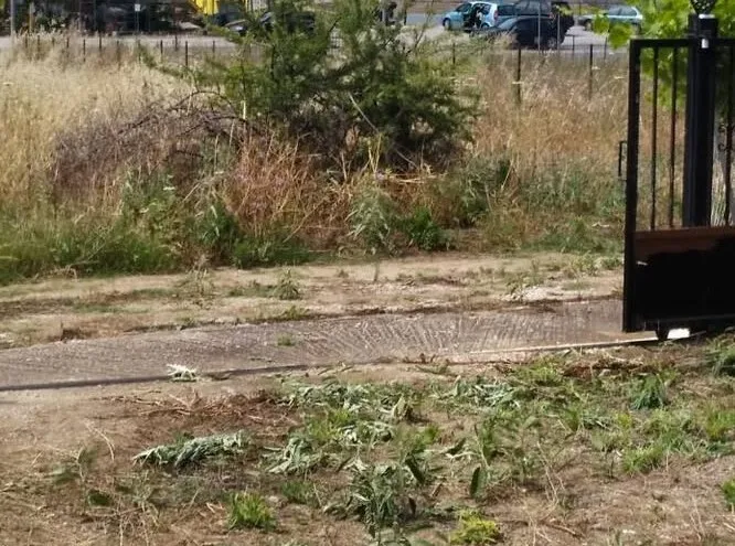 666