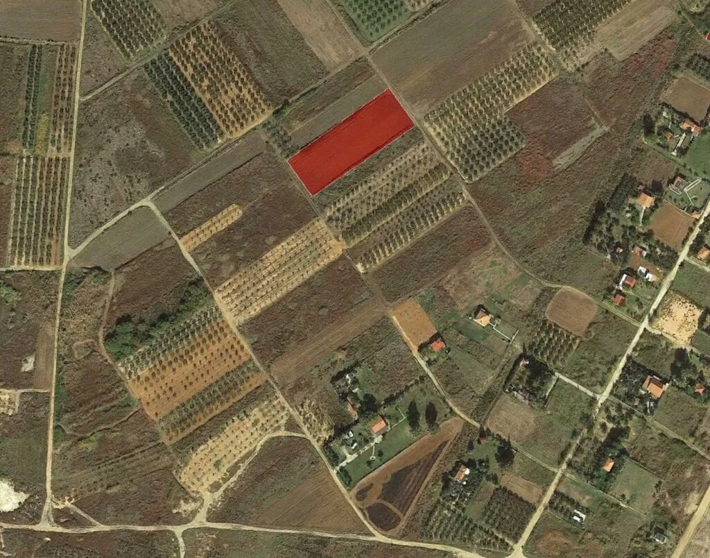 οικόπεδο προς πώληση 4550 τ.μ Κασσάνδρα Χαλκιδική