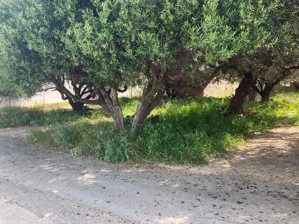 οικόπεδο προς πώληση 862 τ.μ  Νομός Ηρακλείου