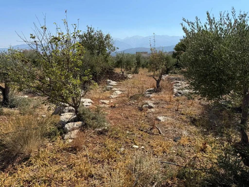 οικόπεδο προς πώληση 1200 τ.μ Σούδα Νομός Χανίων