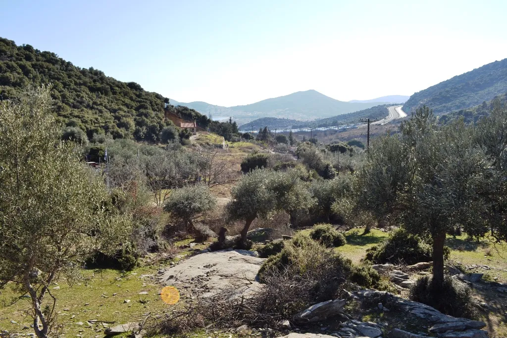 οικόπεδο προς πώληση 4000 τ.μ Ελευθερές Νομός Καβάλας