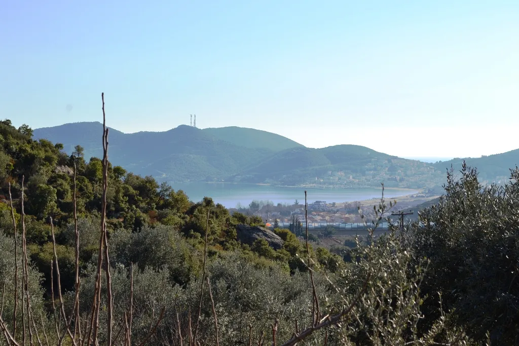οικόπεδο προς πώληση 5500 τ.μ Ελευθερές Νομός Καβάλας