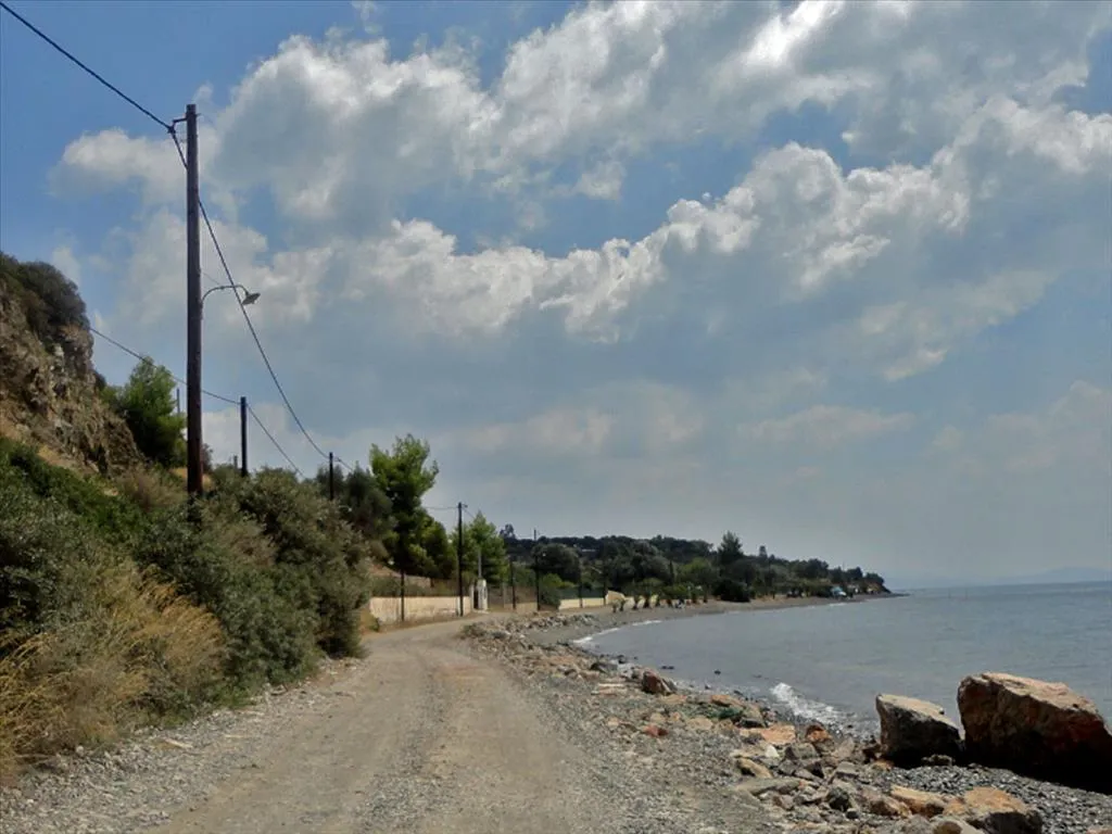 οικόπεδο προς πώληση 6500 τ.μ Μεσσάπια Εύβοια