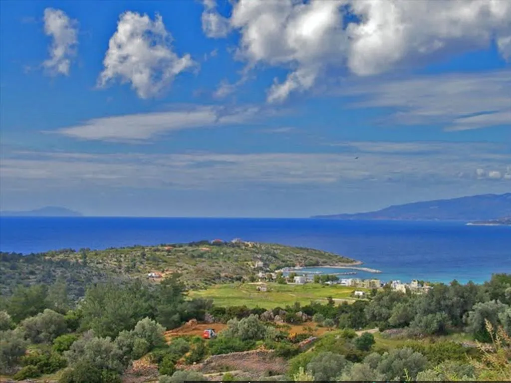 οικόπεδο προς πώληση 13500 τ.μ  Νομός Χίου
