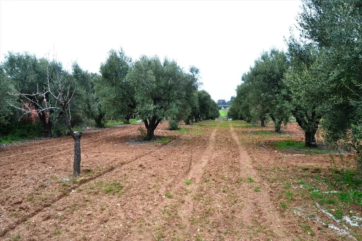 οικόπεδο προς πώληση 3068 τ.μ Νέα Προποντίδα Χαλκιδική
