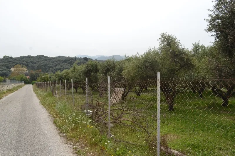 οικόπεδο προς πώληση 9000 τ.μ Κέρκυρα Νομός Κέρκυρας