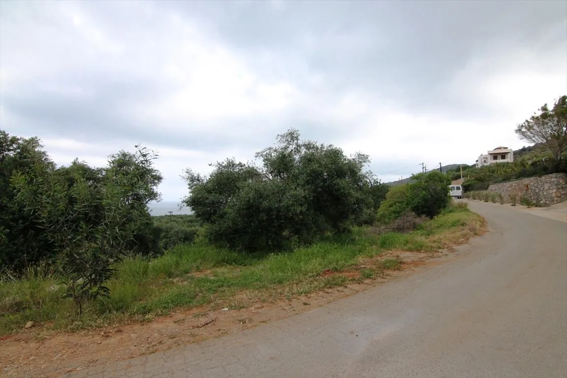 οικόπεδο προς πώληση 2200 τ.μ Νεάπολη Νομός Λασιθίου