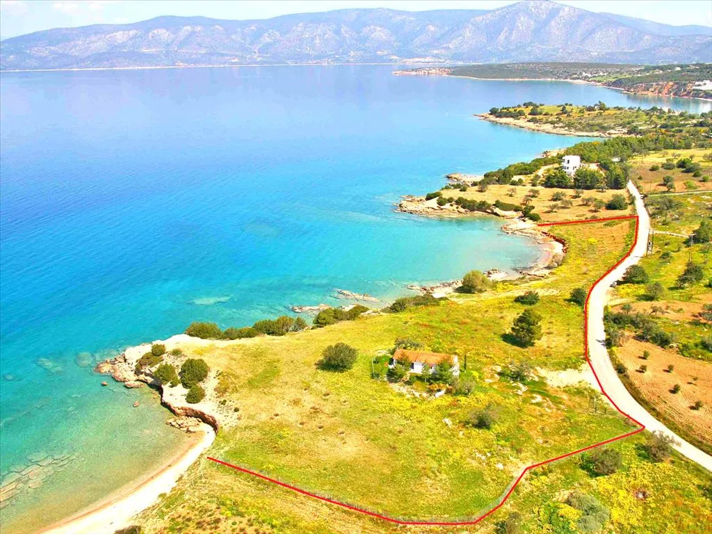 οικόπεδο προς πώληση 11000 τ.μ Κρανίδι Αργολίδα