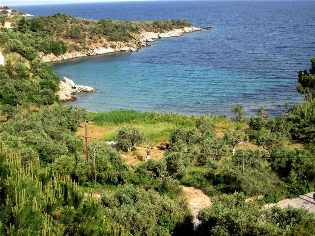 οικόπεδο προς πώληση 2850 τ.μ Αριστοτέλης Χαλκιδική
